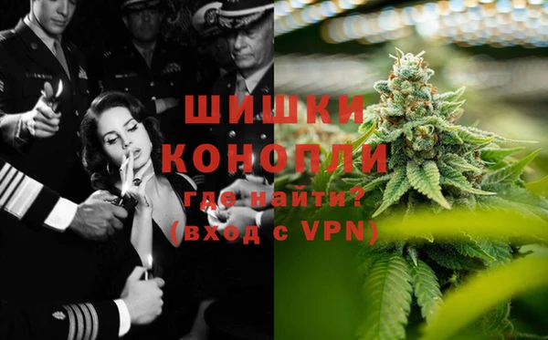 мяу мяу мука Осинники