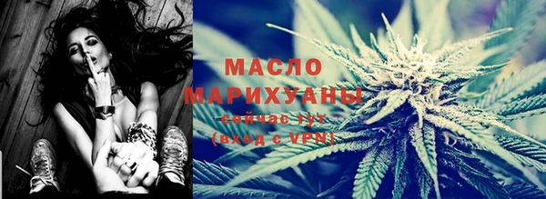мдпв Пестово