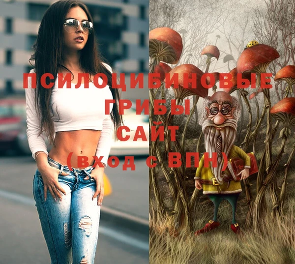 мяу мяу мука Осинники